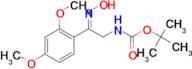 tert-butyl N-[(2Z)-2-(2,4-dimethoxyphenyl)-2-(hydroxyimino)ethyl]carbamate