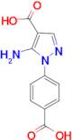 5-amino-1-(4-carboxyphenyl)-1H-pyrazole-4-carboxylic acid