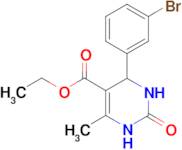 ethyl 4-(3-bromophenyl)-6-methyl-2-oxo-1,2,3,4-tetrahydropyrimidine-5-carboxylate