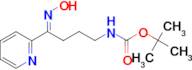 tert-butyl N-[(4E)-4-(hydroxyimino)-4-(pyridin-2-yl)butyl]carbamate