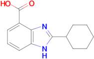 2-cyclohexyl-1H-1,3-benzodiazole-4-carboxylic acid