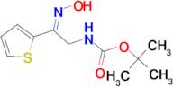 tert-butyl N-[(2E)-2-(hydroxyimino)-2-(thiophen-2-yl)ethyl]carbamate