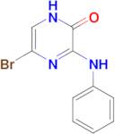 5-bromo-3-(phenylamino)-1,2-dihydropyrazin-2-one