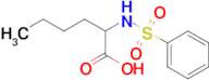 2-benzenesulfonamidohexanoic acid