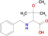 2-(benzylamino)-3-methoxy-3-methylbutanoic acid