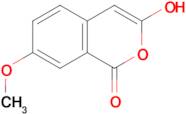 7-methoxy-3,4-dihydro-1H-2-benzopyran-1,3-dione