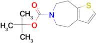 tert-butyl 4H,5H,6H,7H,8H-thieno[2,3-d]azepine-6-carboxylate