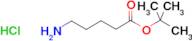 tert-Butyl 5-aminopentanoate hydrochloride