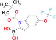 1-BOC-5-(TRIFLUOROMETHOXY)INDOLE-2-BORONIC ACID