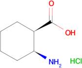 CIS-2-AMINOCYCLOHEXANE-1-CARBOXYLIC ACID HCL