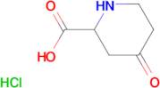 4-OXOPIPERIDINE-2-CARBOXYLIC ACID HCL