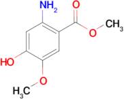 METHYL 2-AMINO-4-HYDROXY-5-METHOXYBENZOATE