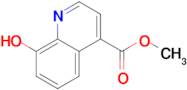 METHYL 8-HYDROXYQUINOLINE-4-CARBOXYLATE