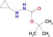 TERT-BUTYL 2-CYCLOPROPYLHYDRAZINECARBOXYLATE