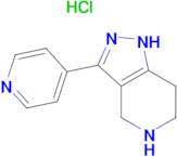 3-(PYRIDIN-4-YL)-4,5,6,7-TETRAHYDRO-1H-PYRAZOLO[4,3-C]PYRIDINE HCL