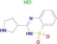 3-(PYRROLIDIN-3-YL)-4H-BENZO[E][1,2,4]THIADIAZINE 1,1-DIOXIDE HCL