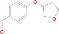 4-((TETRAHYDROFURAN-3-YL)OXY)BENZALDEHYDE