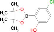 (5-CHLORO-2-HYDROXYPHENYL)BORONIC ACID PINACOL ESTER