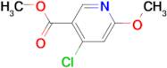 METHYL 4-CHLORO-6-METHOXYNICOTINATE