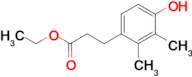 3-(4-HYDROXY-2,3-DIMETHYL-PHENYL)-PROPIONIC ACID ETHYL ESTER