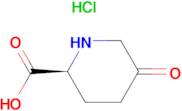 (S)-5-OXOPIPERIDINE-2-CARBOXYLIC ACID HCL