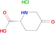 (R)-5-OXOPIPERIDINE-2-CARBOXYLIC ACID HCL