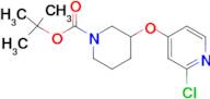 TERT-BUTYL 3-(2-CHLOROPYRIDIN-4-YLOXY)PIPERIDINE-1-CARBOXYLATE