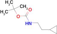 TERT-BUTYL 2-CYCLOPROPYLETHYLCARBAMATE