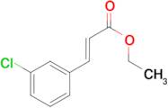 (E)-ETHYL 3-(3-CHLOROPHENYL)ACRYLATE