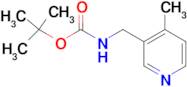 (4-METHYL-PYRIDIN-3-YLMETHYL)-CARBAMIC ACID TERT-BUTYL ESTER