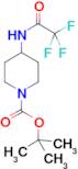 TERT-BUTYL 4-(2,2,2-TRIFLUOROACETAMIDO)PIPERIDINE-1-CARBOXYLATE