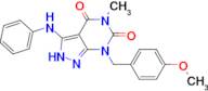 7-(4-METHOXYBENZYL)-5-METHYL-3-(PHENYLAMINO)-2H-PYRAZOLO[3,4-D]PYRIMIDINE-4,6(5H,7H)-DIONE