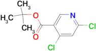 TERT-BUTYL 4,6-DICHLORONICOTINATE