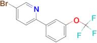 5-BROMO-2-(3-(TRIFLUOROMETHOXY)PHENYL)PYRIDINE