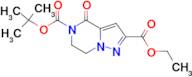 5-TERT-BUTYL 2-ETHYL 4-OXO-6,7-DIHYDROPYRAZOLO[1,5-A]PYRAZINE-2,5(4H)-DICARBOXYLATE