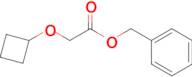 BENZYL 2-CYCLOBUTOXYACETATE