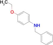 BENZYL-(4-ETHOXY-PHENYL)-AMINE