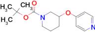 3-(PYRIDIN-4-YLOXY)-PIPERIDINE-1-CARBOXYLIC ACID TERT-BUTYL ESTER