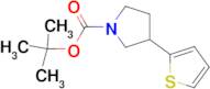 TERT-BUTYL 3-(THIOPHEN-2-YL)PYRROLIDINE-1-CARBOXYLATE