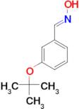 (E)-3-(TERT-BUTOXY)BENZALDEHYDE OXIME