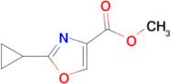 METHYL 2-CYCLOPROPYLOXAZOLE-4-CARBOXYLATE