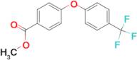 METHYL 4-(4-(TRIFLUOROMETHYL)PHENOXY)BENZOATE