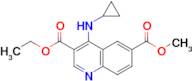 3-ETHYL 6-METHYL 4-(CYCLOPROPYLAMINO)QUINOLINE-3,6-DICARBOXYLATE