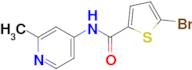 5-BROMO-N-(2-METHYLPYRIDIN-4-YL)THIOPHENE-2-CARBOXAMIDE