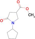 1-CYCLOPENTYL-5-OXO-3-PYRROLIDINECARBOXYLIC ACID METHYL ESTER