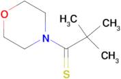 2,2-DIMETHYL-1-MORPHOLINOPROPANE-1-THIONE