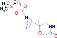 TERT-BUTYL 5'-OXO-8-AZASPIRO[BICYCLO[3.2.1]OCTANE-3,2'-MORPHOLINE]-8-CARBOXYLATE