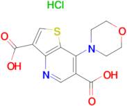 7-MORPHOLINOTHIENO[3,2-B]PYRIDINE-3,6-DICARBOXYLIC ACID HCL