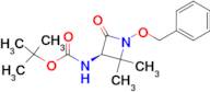 (R)-TERT-BUTYL (1-(BENZYLOXY)-2,2-DIMETHYL-4-OXOAZETIDIN-3-YL)CARBAMATE