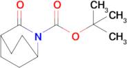 TERT-BUTYL 3-OXO-2-AZABICYCLO[2.2.2]OCTANE-2-CARBOXYLATE